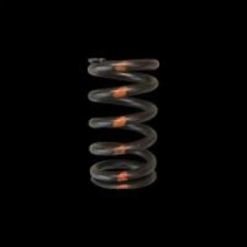 Brian Crower Brz/Frs Fa20 Single Valve Springs 1