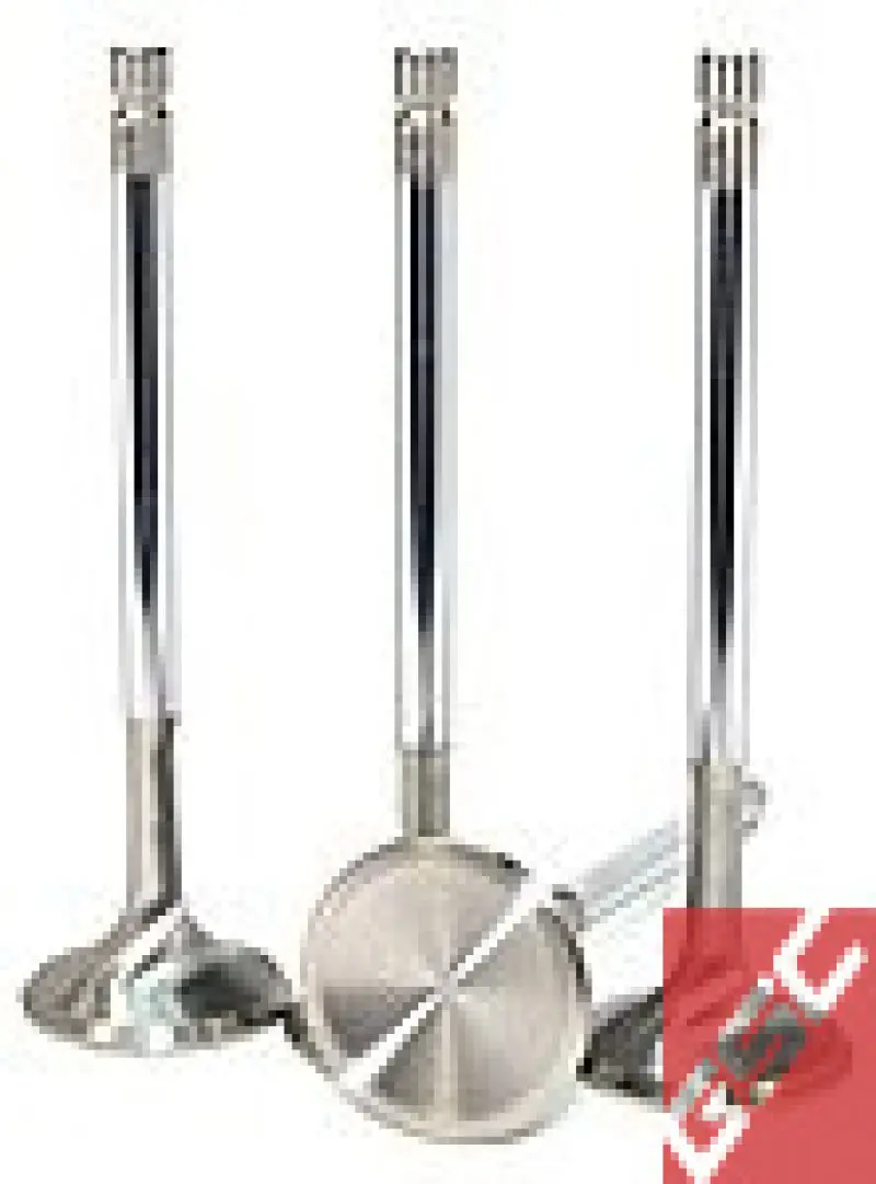 Gsc P-D Nissan Tb48de Stainless Steel Exhaust Valve 34.50Mm Head (+1Mm) - Set Of 12 1