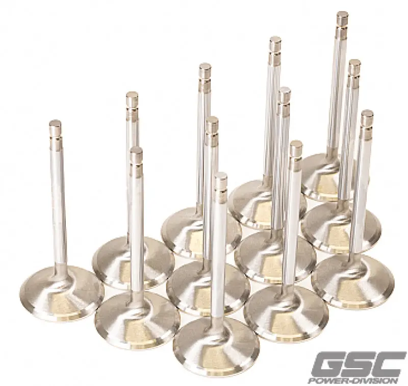 Gsc P-D Nissan Vr38dett 38.15Mm Head +1Mm Os 94.95Mm Long Flat Face Intake Valve - Set Of 12 1