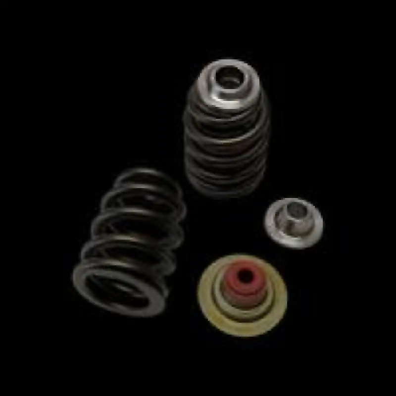 Brian Crower Can-Am X3 Rotax 900 Ace Beehive Spring/Steel Retainer/Seat W/ Seal Kit 1