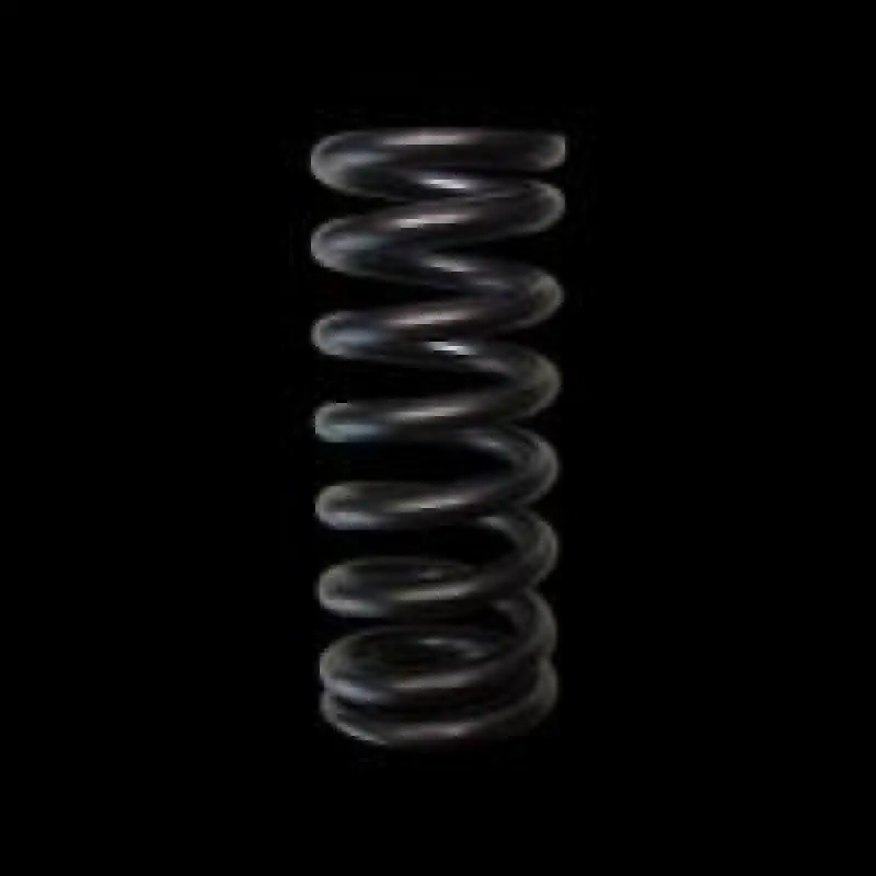 Brian Crower Honda L15 Single Valve Springs (Set Of 16) 1