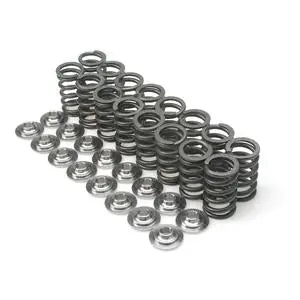 Brian Crower Nissan Tb48 Single Spring & Titanium Retainer Kit 1
