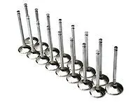 Brian Crower Mitsubishi 4B11t Evolution X 31.5Mm Exhaust Valves 1